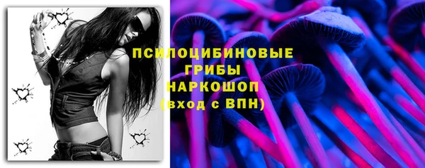 индика Алзамай