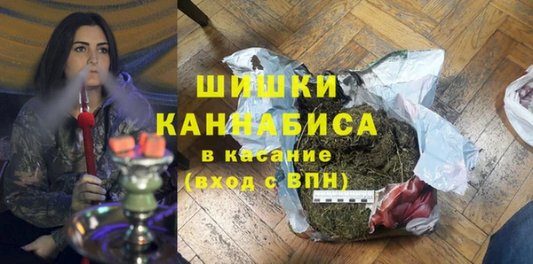 индика Алзамай