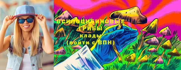 индика Алзамай