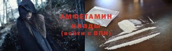 индика Алзамай