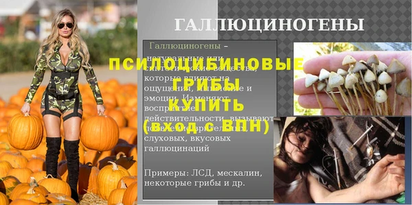 крисы Осташков