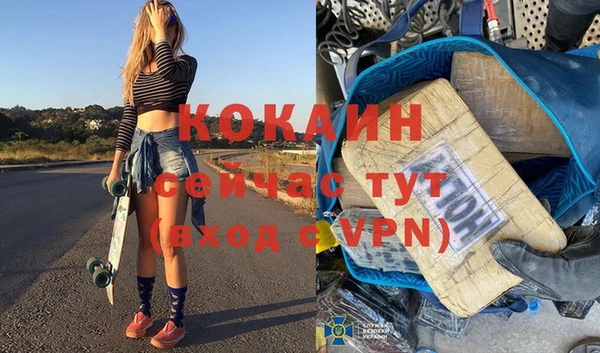 индика Алзамай