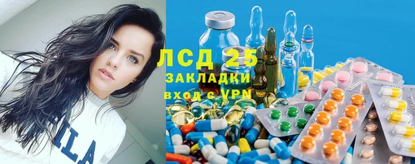 индика Алзамай