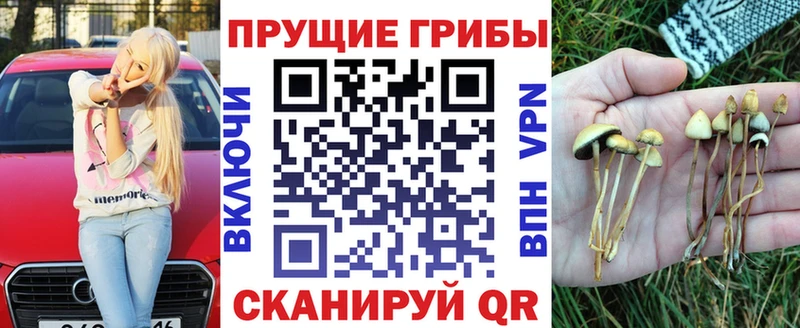 Псилоцибиновые грибы Psilocybe  Бобров 